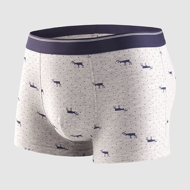 4 pezzi mutandine da uomo pant - Boxer Brief Pack Cotton recensione e prezzo